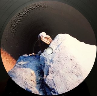 View I Wait (Mall Grab Remix) track details