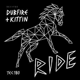 View Ride (Djedjotronic Remix) track details