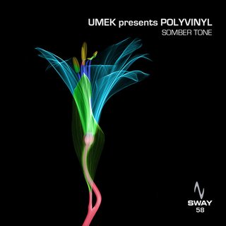 View Somber Tone (Hertz Instrumental Edit) track details