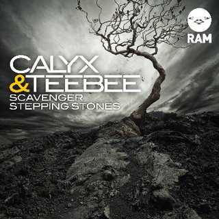 Scavenger (Original Mix)