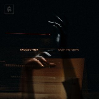 Touch This Feeling (Original Mix)