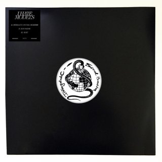 View Intergalactic Emotional Breakdown track details
