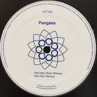 View Bear Witness track details