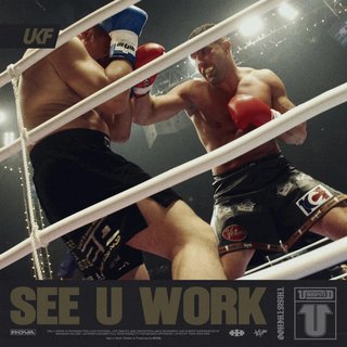 View See U Work (Original Mix) track details