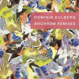 Schwarzhalstaucher (Aera Remix)