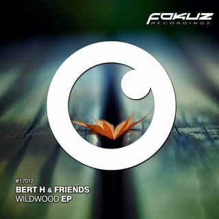View Fallacy (Zero T Remix) track details