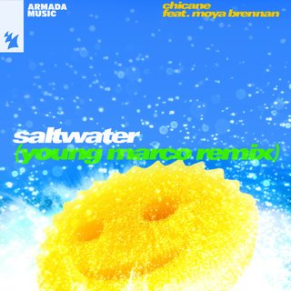 View Saltwater (Young Marco Remix) track details