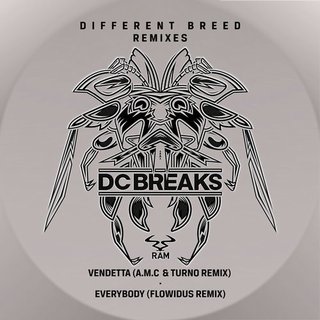 Everybody (Flowidus Remix)