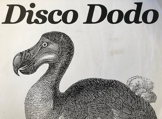 Disco Dodo