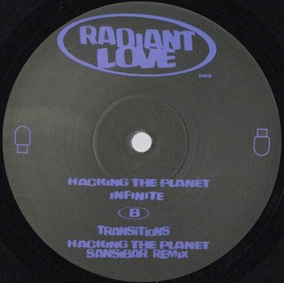 Hacking The Planet (Sansibar Remix)