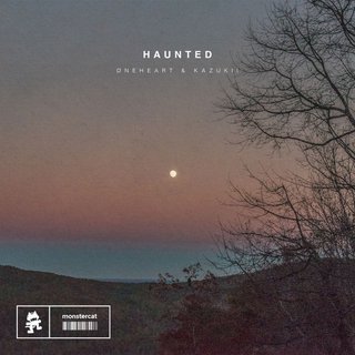 View Haunted (Original Mix) track details