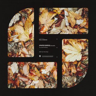 View Paper Birds (Acoustic Version) track details