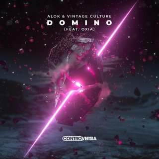 View Domino track details