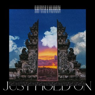View Just Hold On (Original Mix) track details